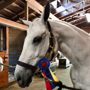 Look your best in a winning new outfit!